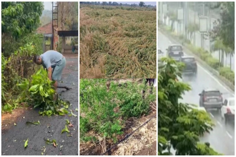 मराठवाड्यात अवकाळी पावसाचा कहर; तीन शेतकऱ्यांचा मृत्यू